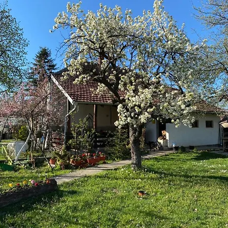 Seoska kuća Bukovicki Mir Arandjelovac