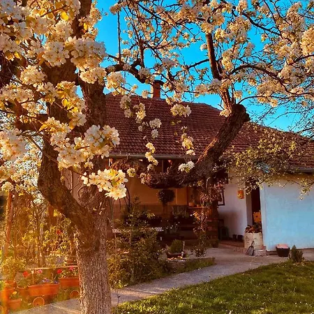 Seoska kuća Bukovicki Mir *