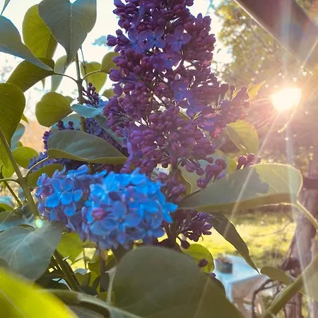 Bukovicki Mir Seoska kuća Arandjelovac