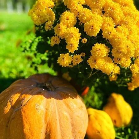 Bukovicki Mir カントリーハウス