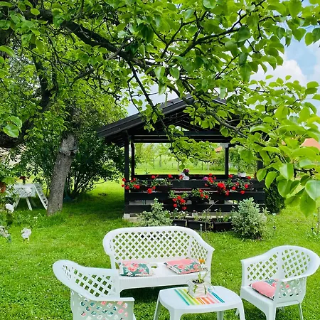 カントリーハウス Bukovicki Mir