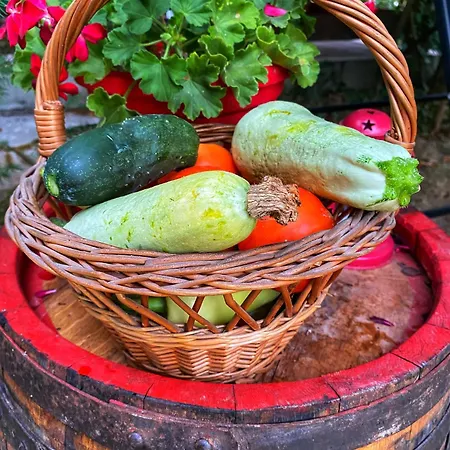 Bukovicki Mir カントリーハウス アランジェロヴァツ