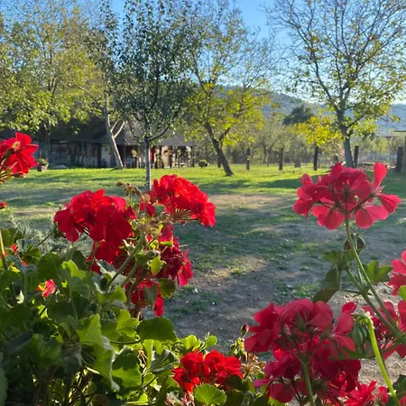 Bukovicki Mir カントリーハウス *