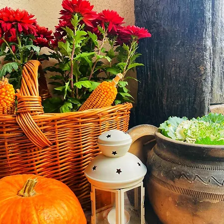 בית כפרי Bukovicki Mir *